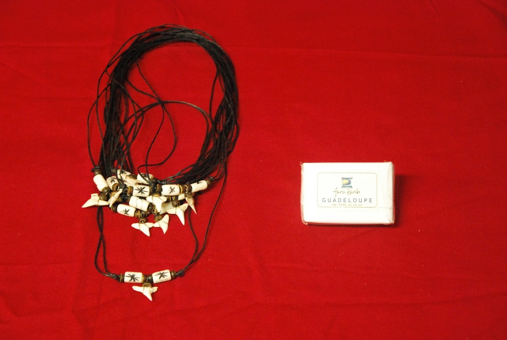 Collier Dent De Requin Pm