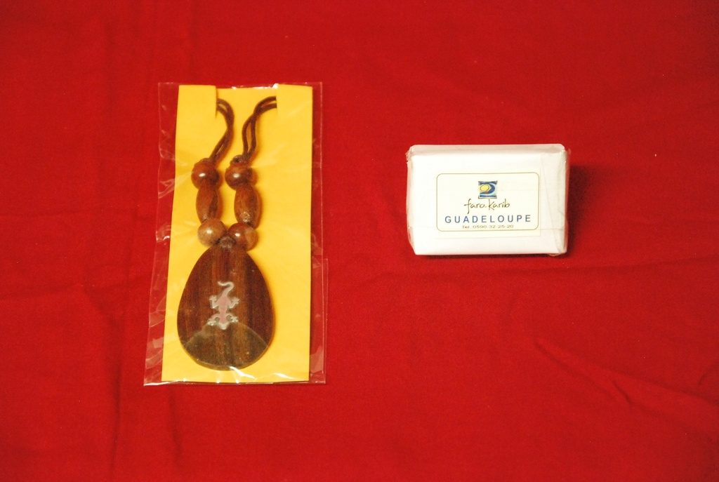 Collier Oval Lezard