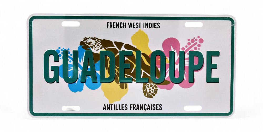 Plaque 15X30 Tortue