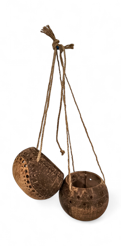 Pot de fleur en coco suspendu