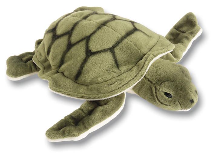 Tortue De Mer Pm