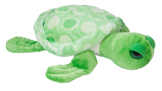 Tortue Couleur