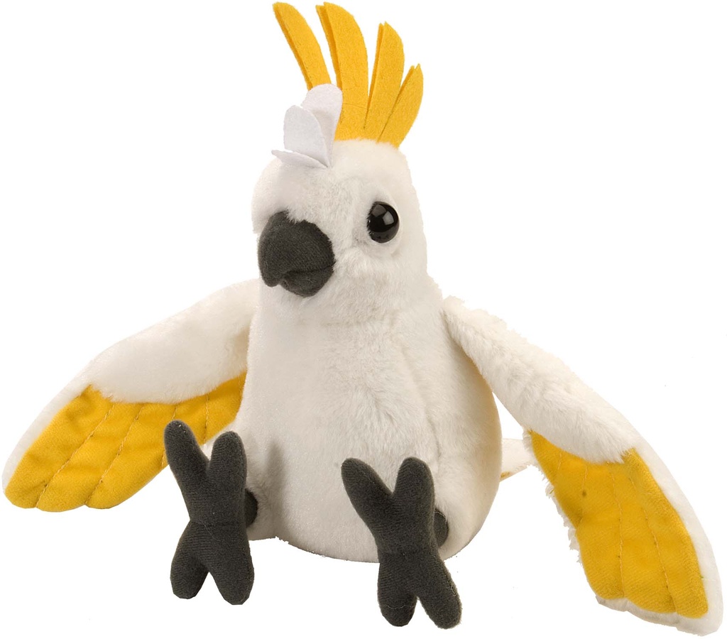 Ck-Mini Cockatoo Sulph 8