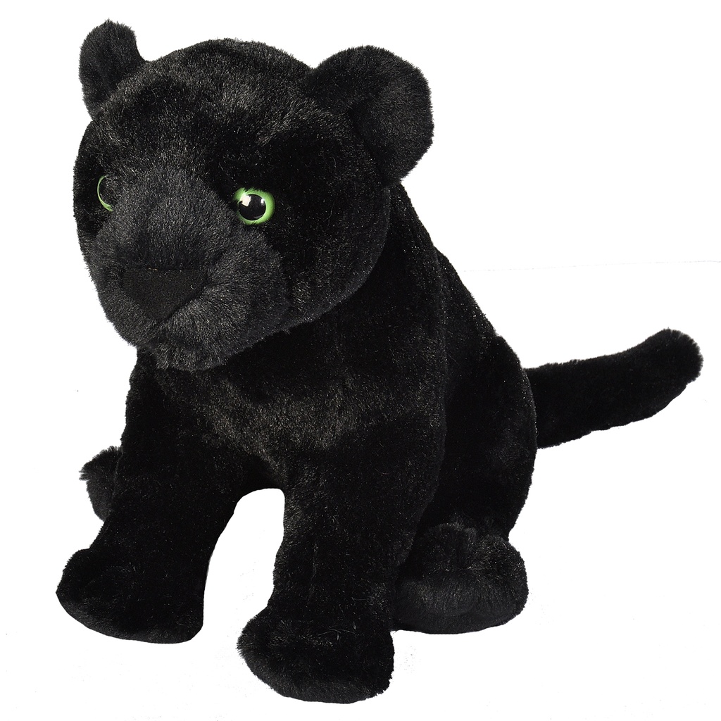 Ck Jaguar Black