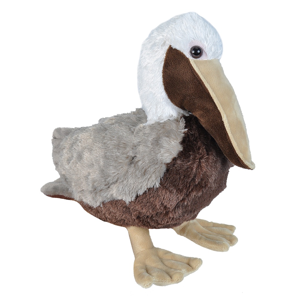 Ck Brown Pelican