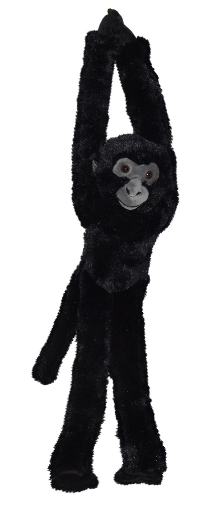 Hanging Monkey Spider Black