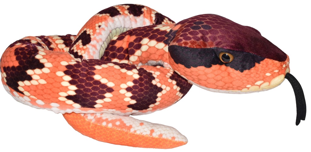 Snake Eastern Cottonmouth Ii