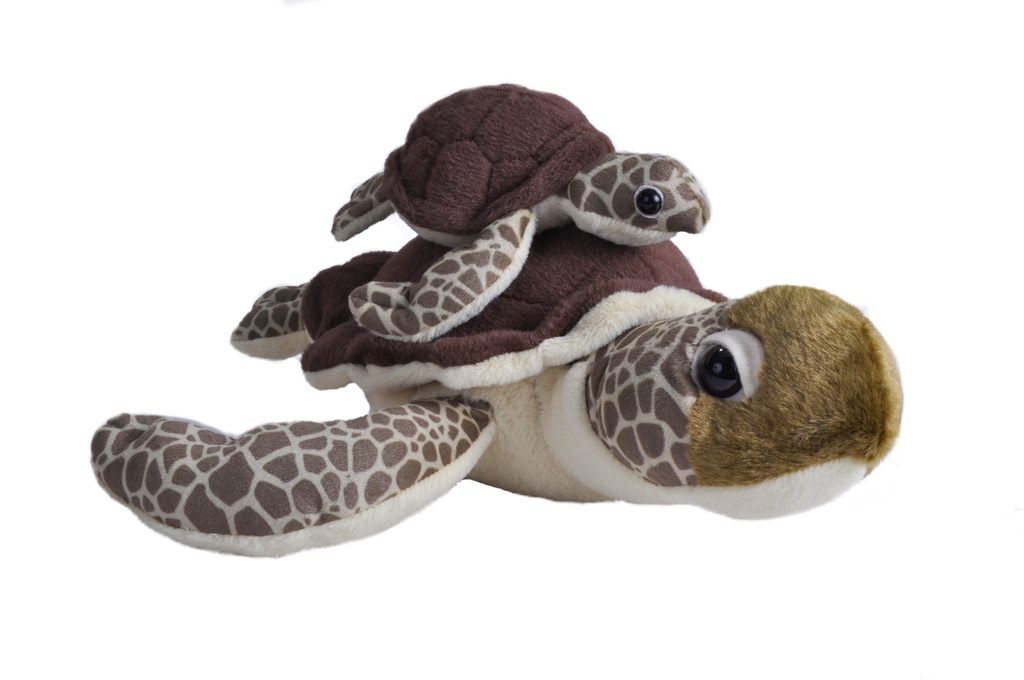 Mom Baby Green Sea Turtle