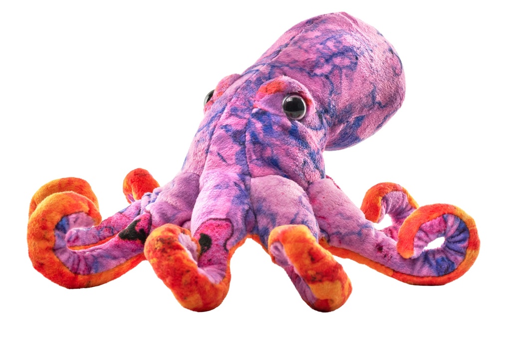Atlantis Octopus