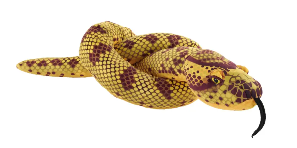 Snake Eco Anaconda