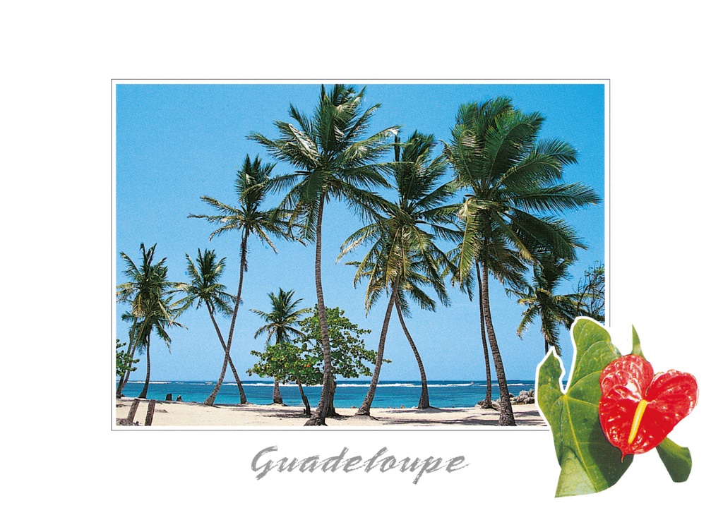 CP 10X15 GP BG10