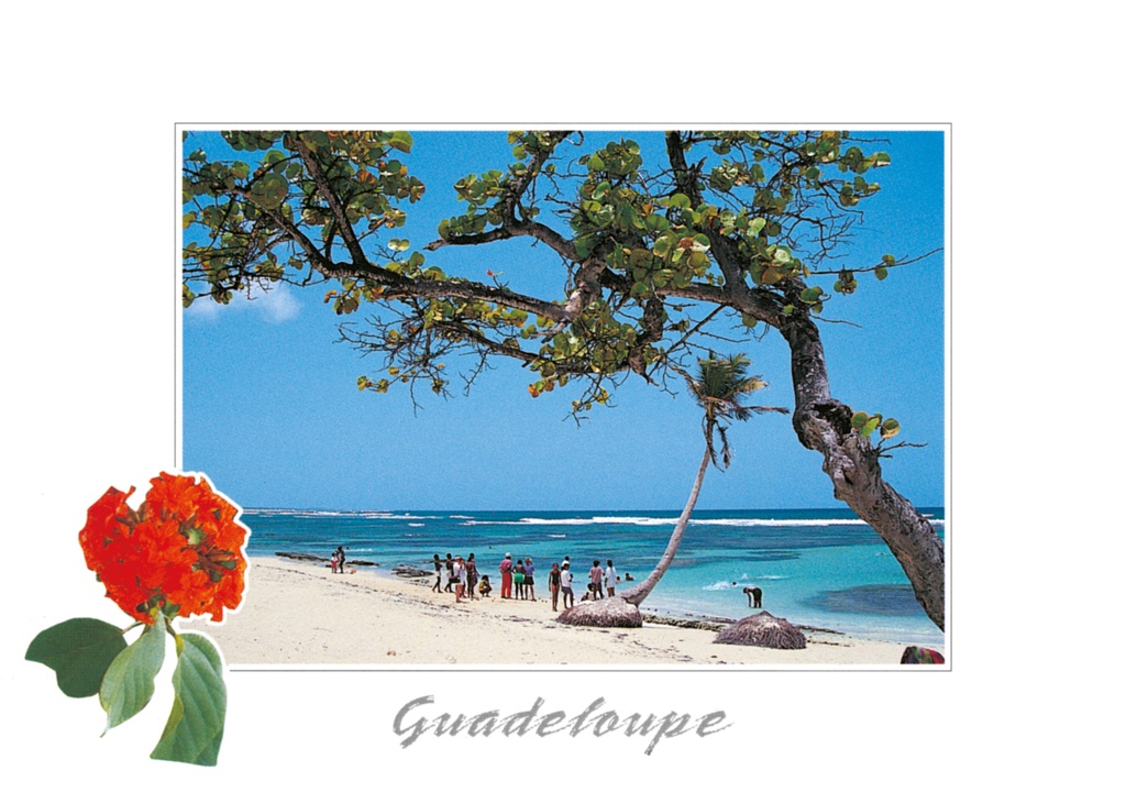 CP 10X15 GP BG15