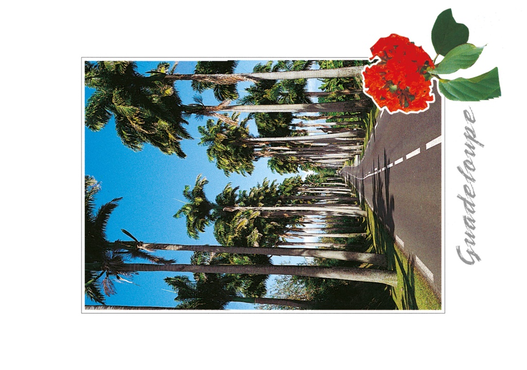 CP 10X15 GP BG18