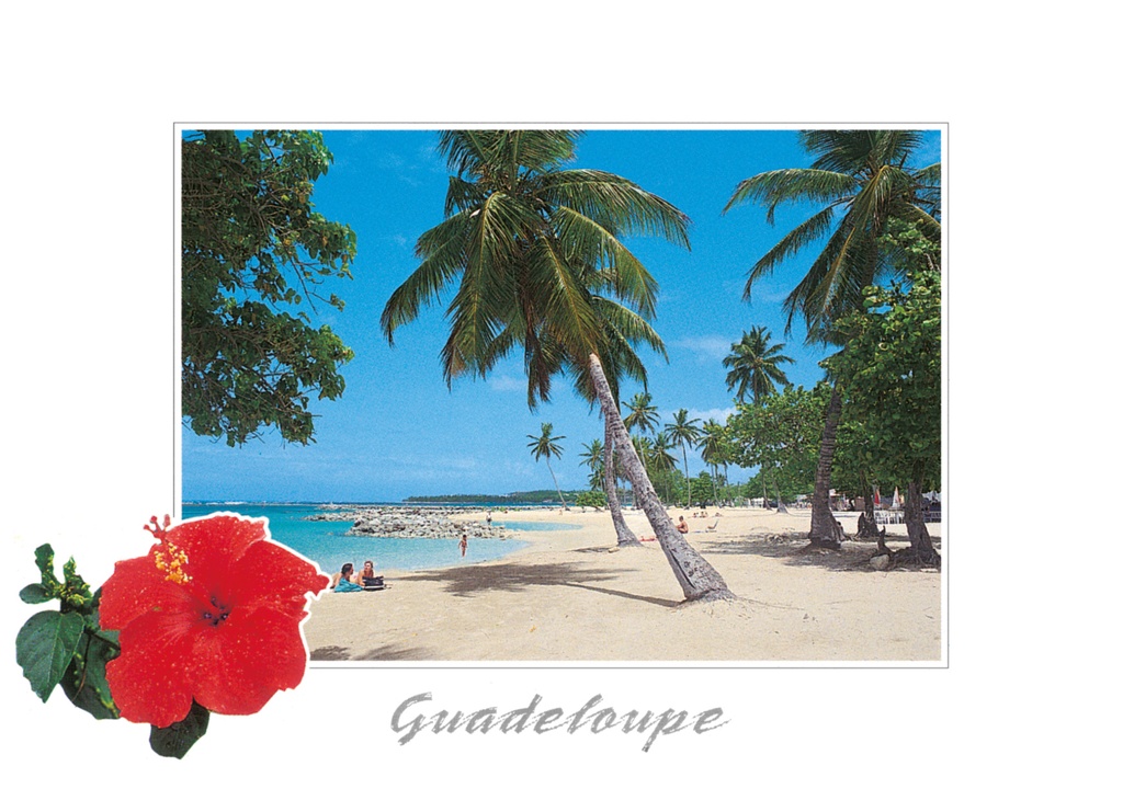CP 10X15 GP BG20