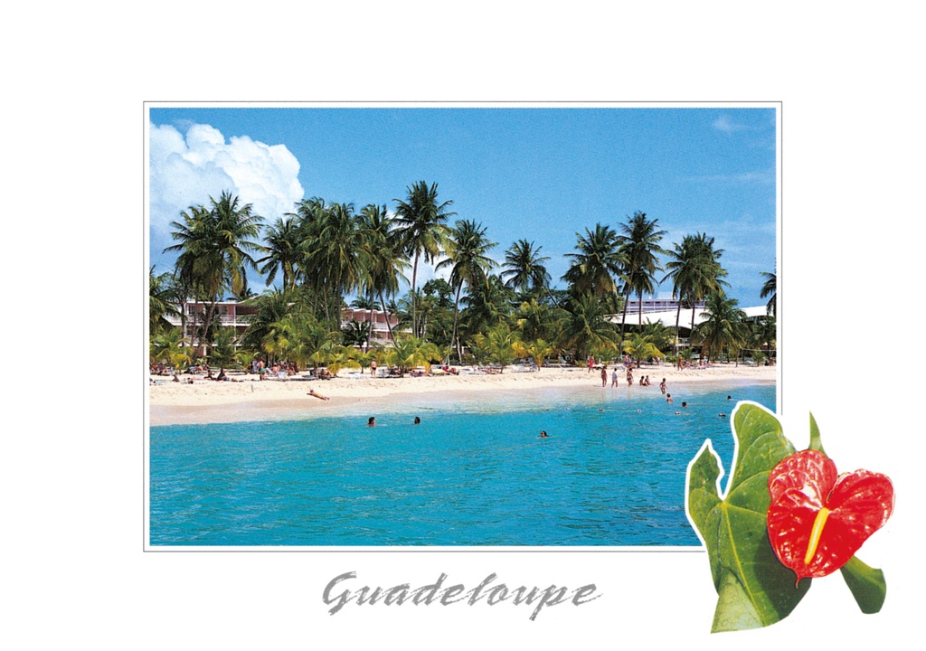 CP 10X15 GP BG22