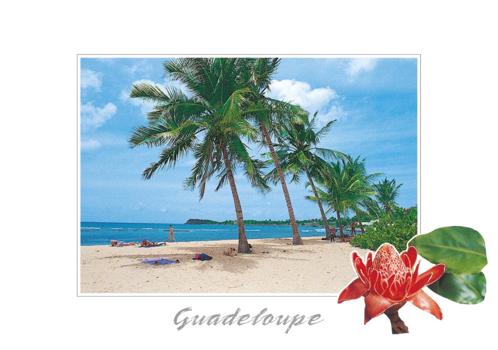 CP 10X15 GP BG23