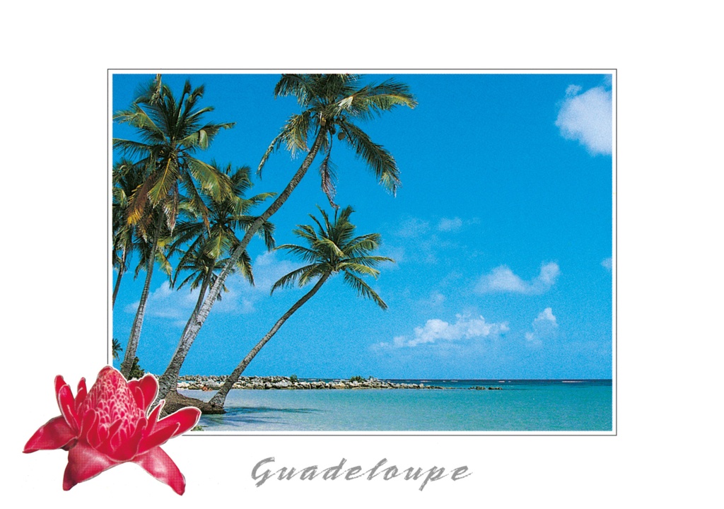 CP 10X15 GP BG26