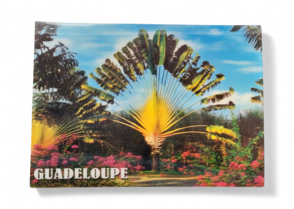 CP 12 X 17 GP 3D ARBRE du voyage G3D03
