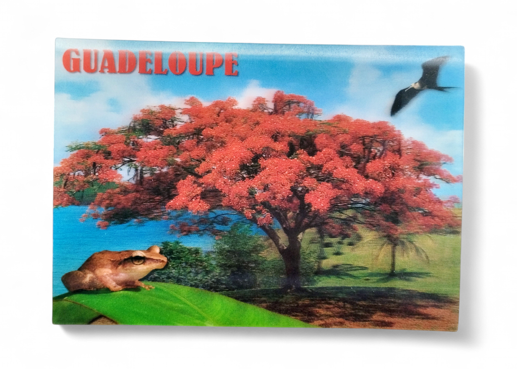 CP 12 X 17 GP 3D Flamboyant G3D05
