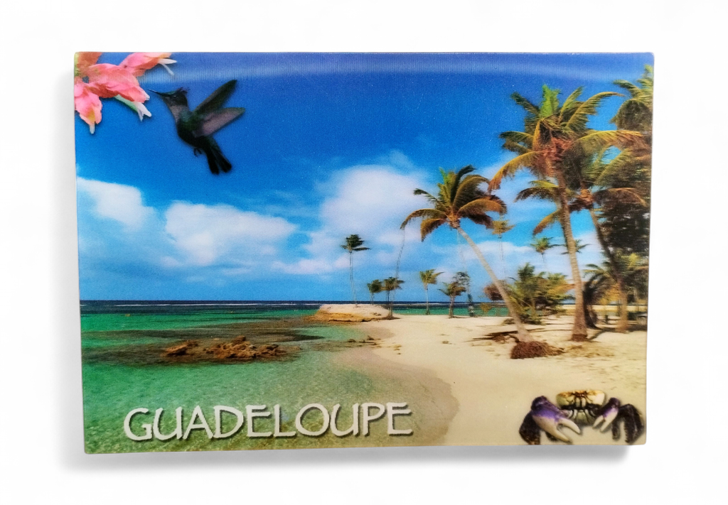 CP 12 X 17 GP 3D PLAGE de ste-Anne G3D14