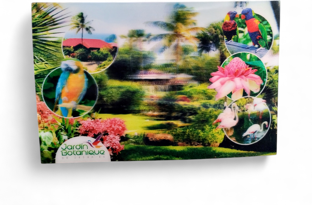 Carte postale 3D - JBDDESHAIES CP3D02