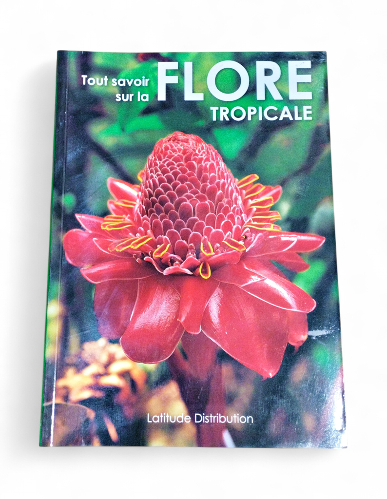 Tout Savoir Sur La Flore Tropicale