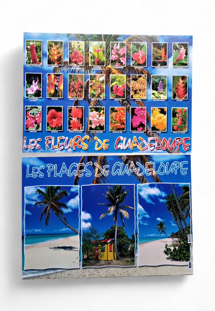 Set de Table GP Fleurs De Guadeloupe / Plages STG45