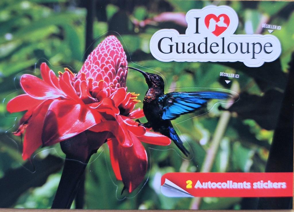 Cp 10x15 GP Sticker Rose+Colibri 
