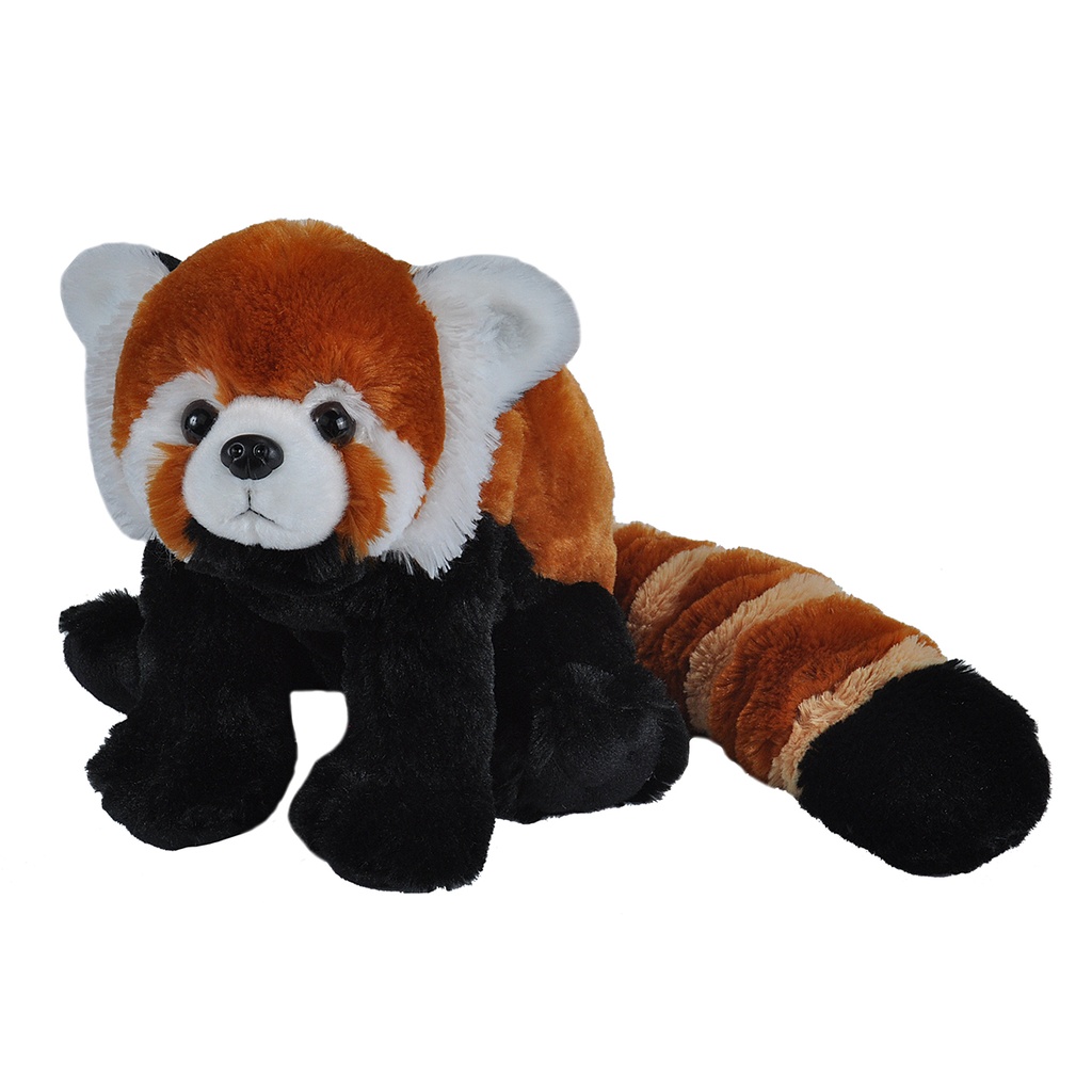 Ck Panda Roux 30 Cm