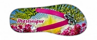 Magnet Epoxy Tong Arbre Du Voyageur