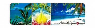 Magnet Epoxy Long Multivue 3 Photos Diamant, Arbre Du Voyageur, Salines MQ