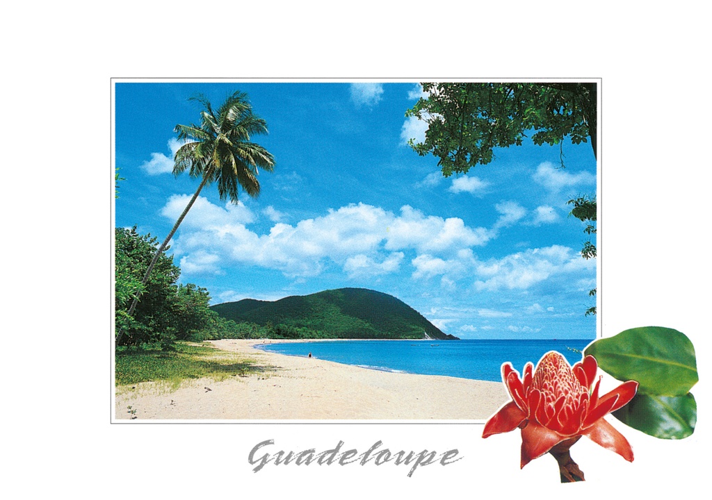 CP 10X15 GP BG8