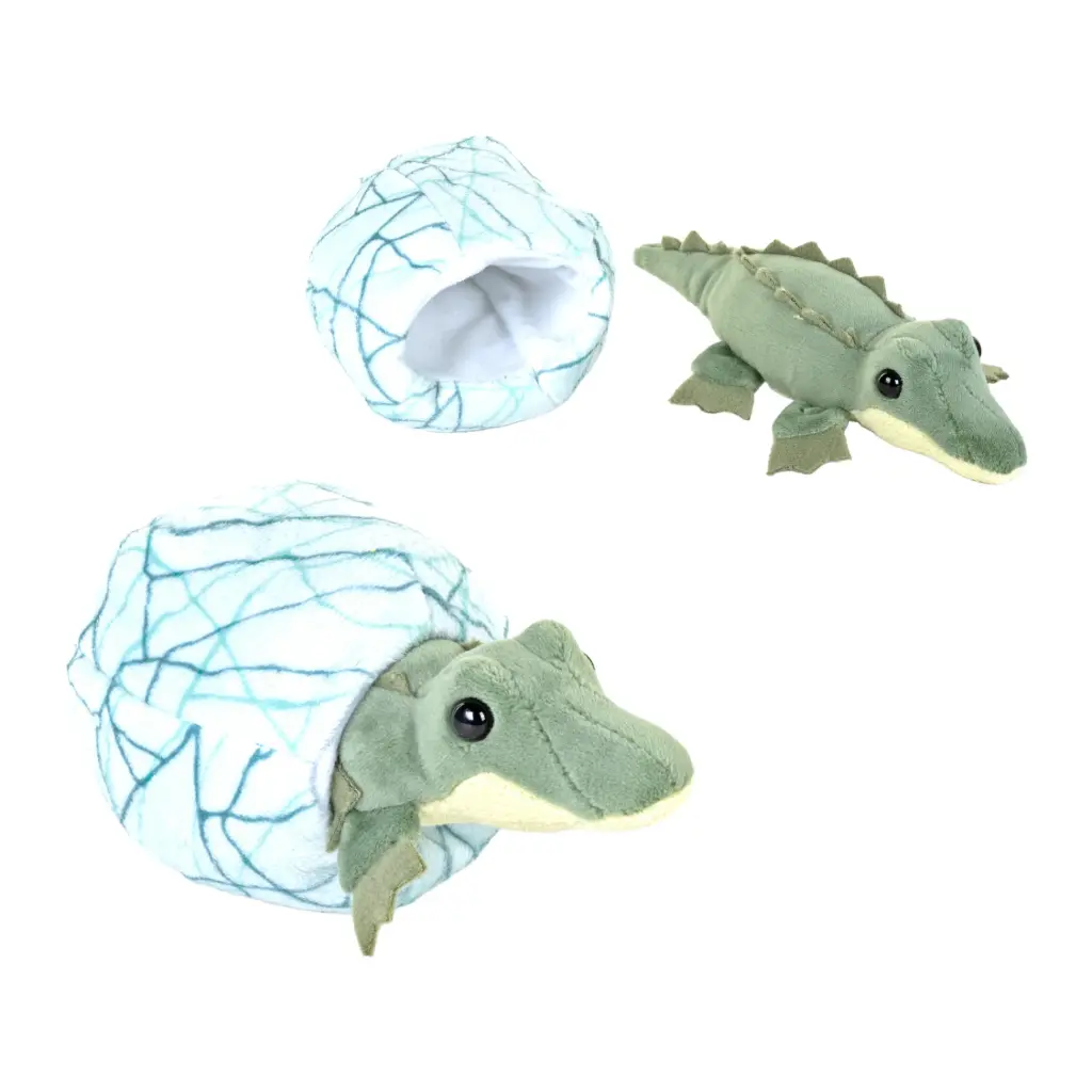 BEBE CROCODILE