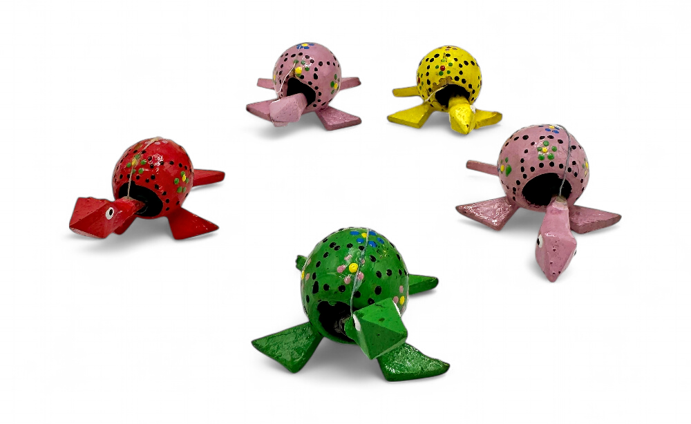 Tortue mini