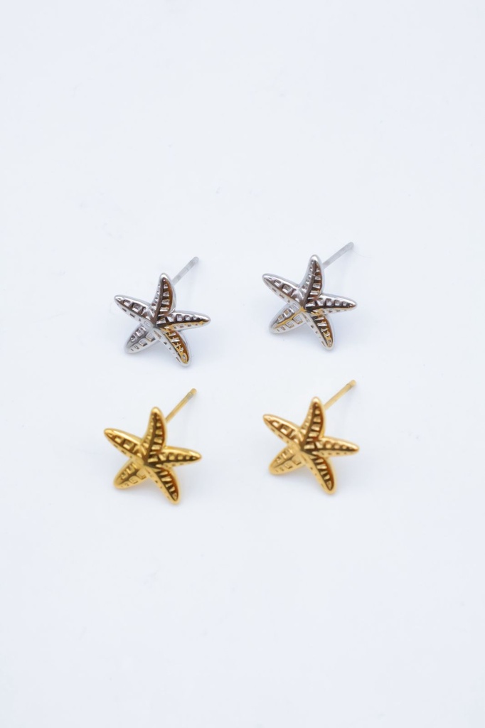 Boucle D'oreille inoxydable puce Etoile de mer