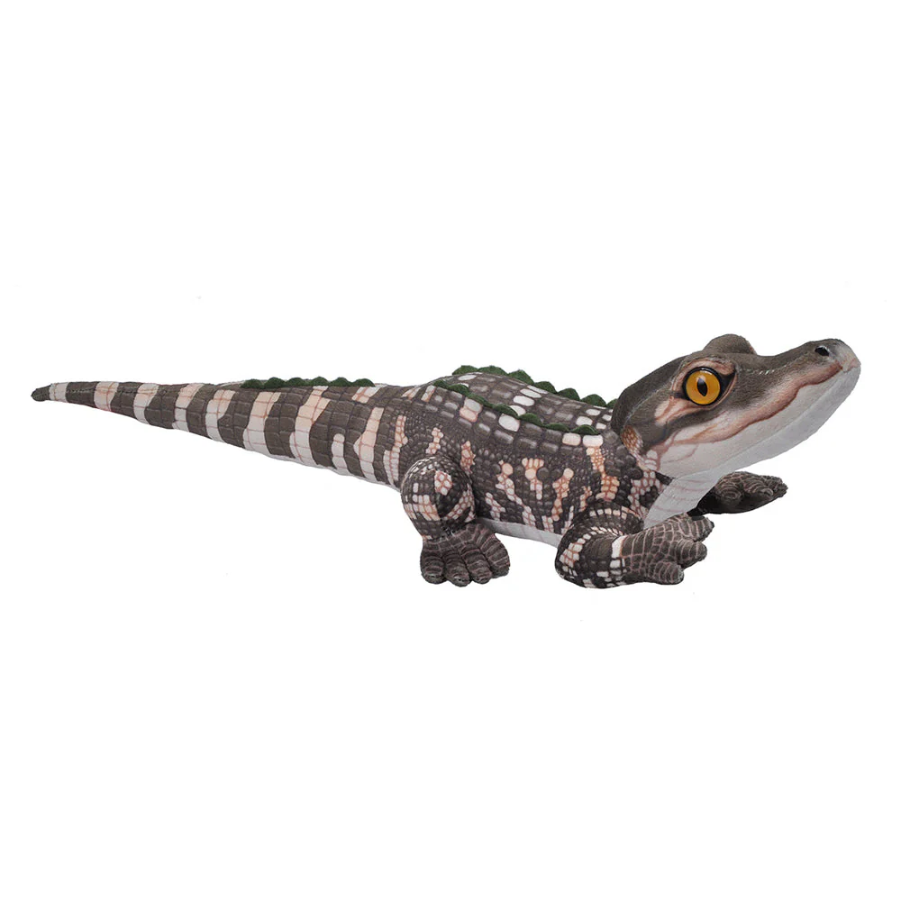 Living mini Aligator Baby