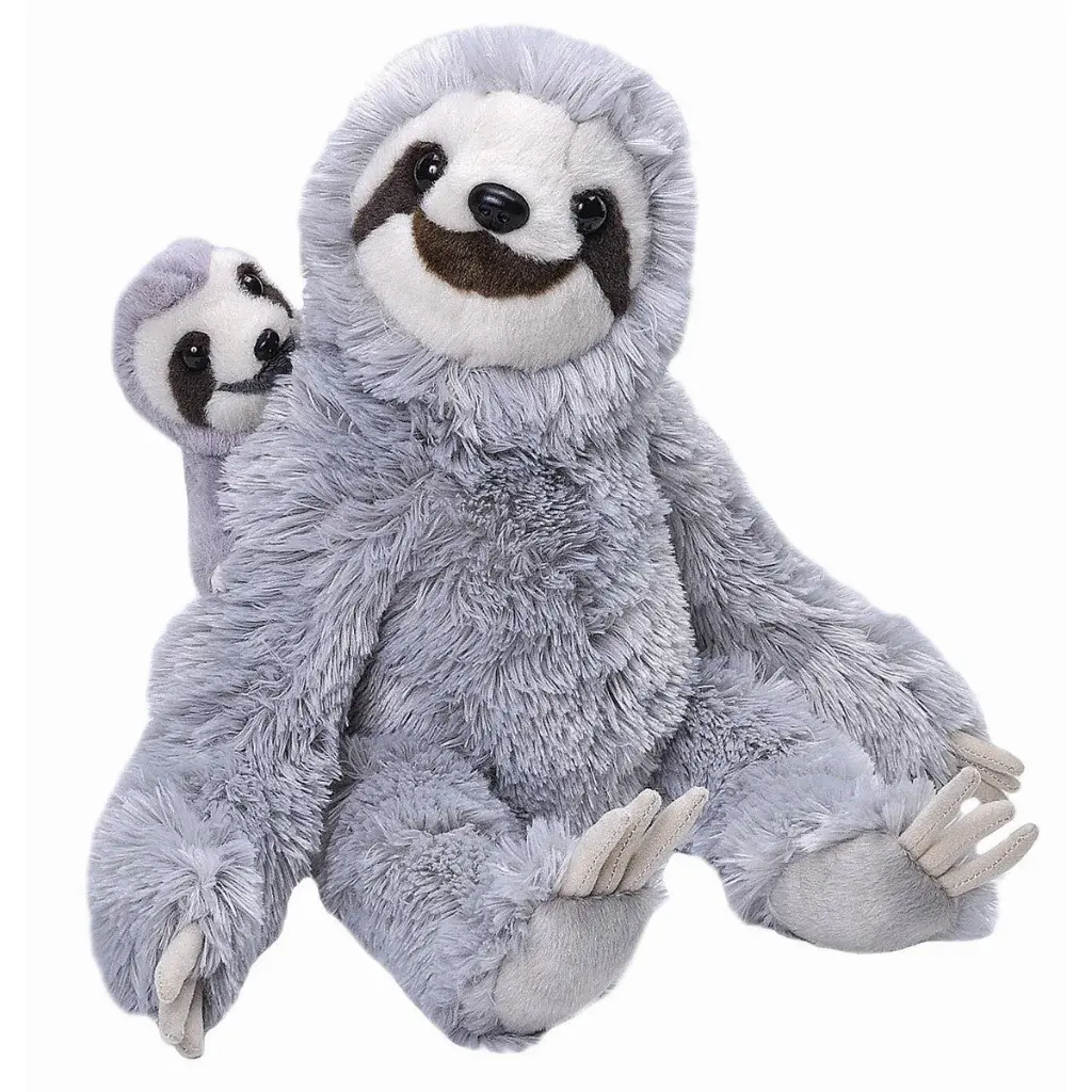 Mom Baby sloth