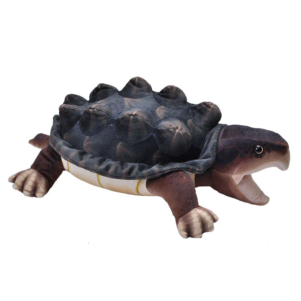 Living snapping turtle