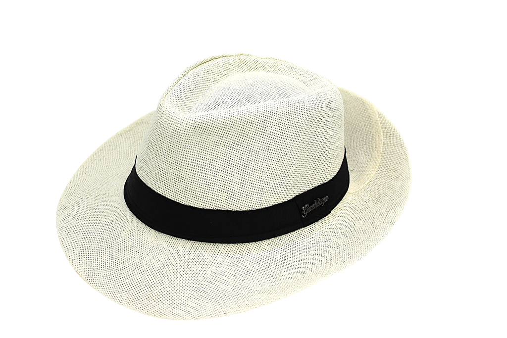 Chapeau Panama