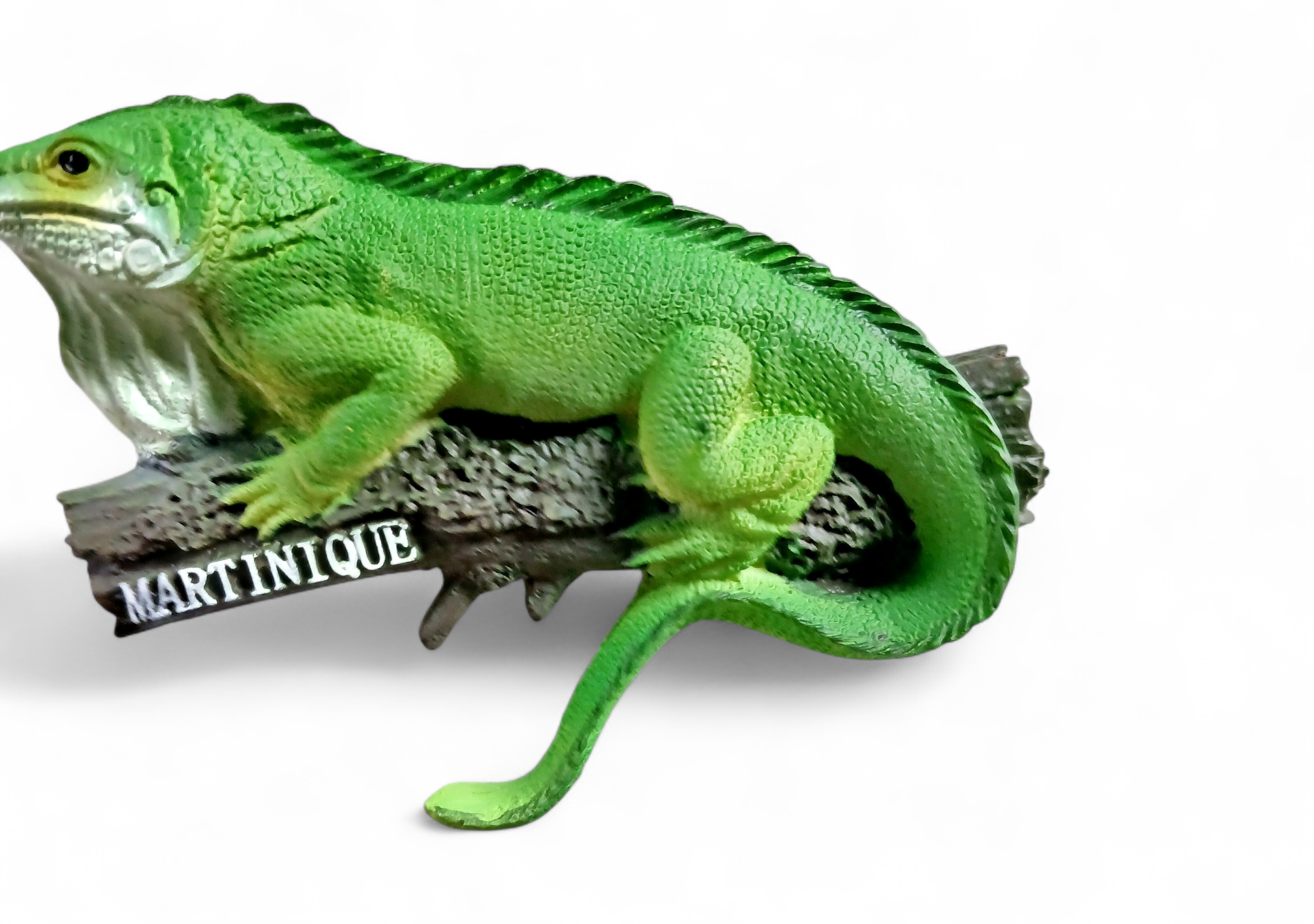 [15002] Magnet Resine Iguane