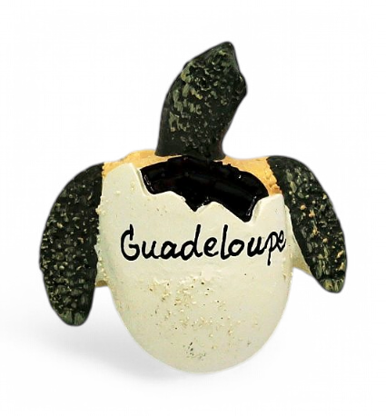 Magnet Tortue Oeuf