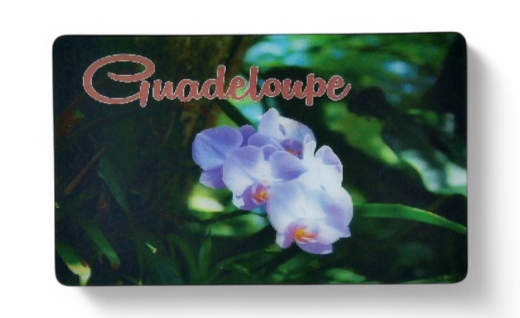 Magnet 3D  Orchidee