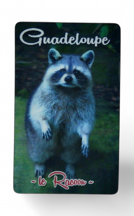 Magnet 3D  Racoon