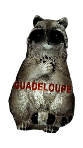 Magnet Racoon Petit