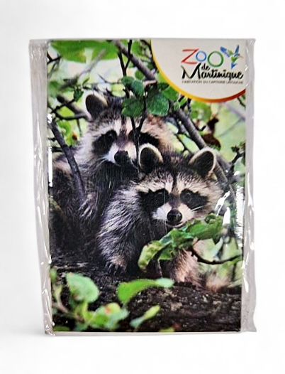 Magnet Image ZDM 2 Racoons