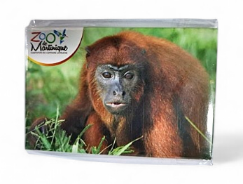 Magnet Image ZDM Singe