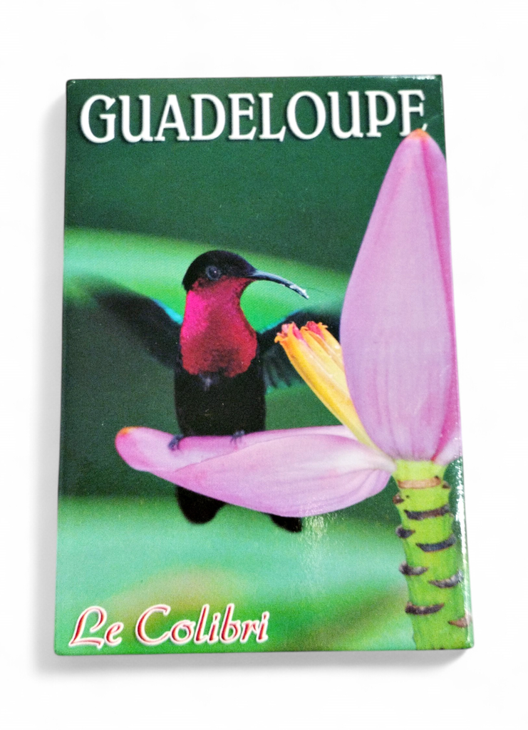 Magnet Image GP Colibri Casque