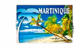 Magnet Epoxy Rectangle MQ Saline