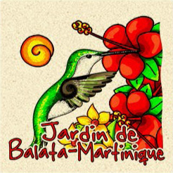 Magnet Sable JDB Colibri+Hibiscus