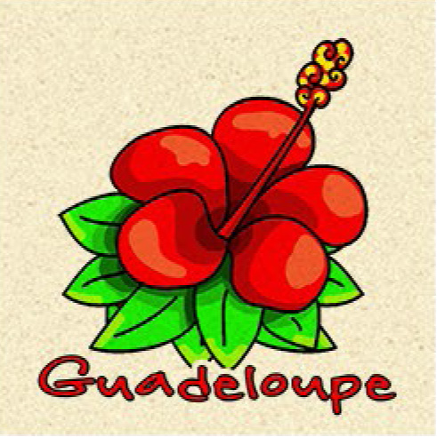 Magnet Sable Hibiscus Rouge Cartoon